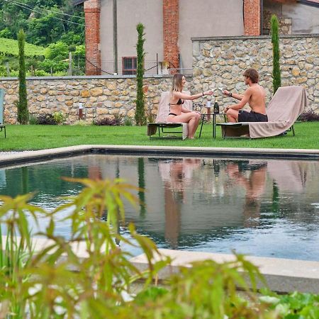 Agriturismo Corte Cea 콜로니아 아이 콜리 외부 사진